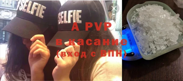 гидропоника Белокуриха