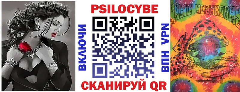 хочу   кракен ссылки  Псилоцибиновые грибы ЛСД  Гусев 