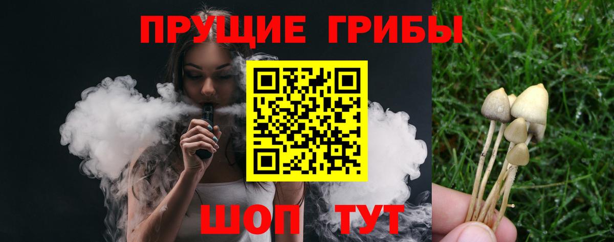 Гусев  Псилоцибиновые грибы мицелий  наркошоп  Вход с VPN 